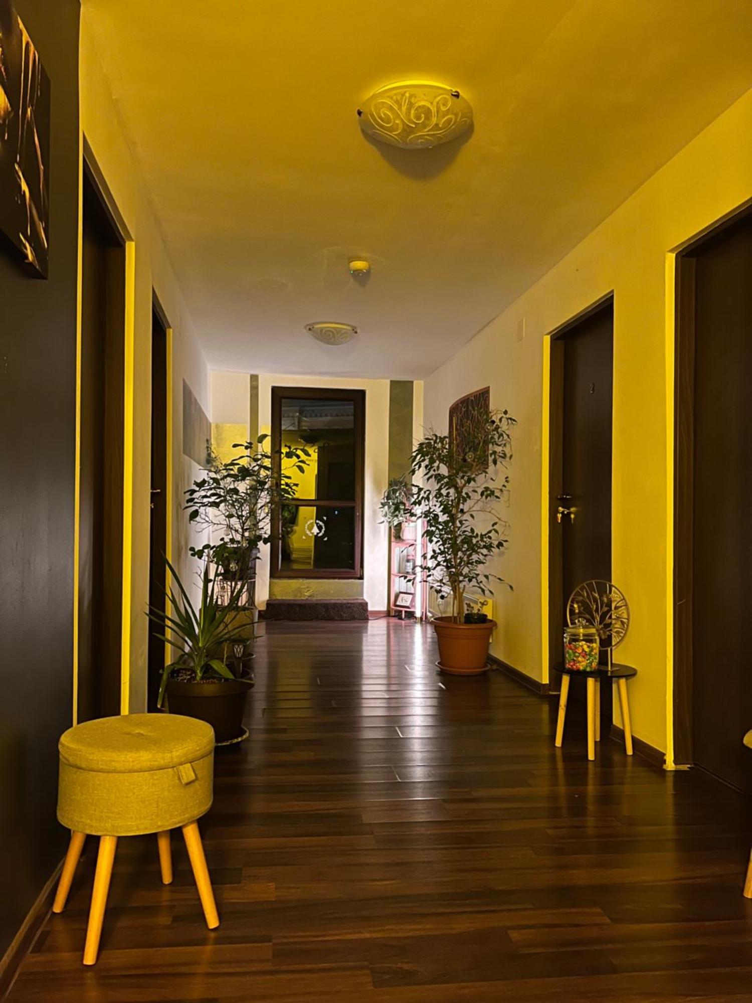 Old Vintage Villa 布拉索夫 外观 照片
